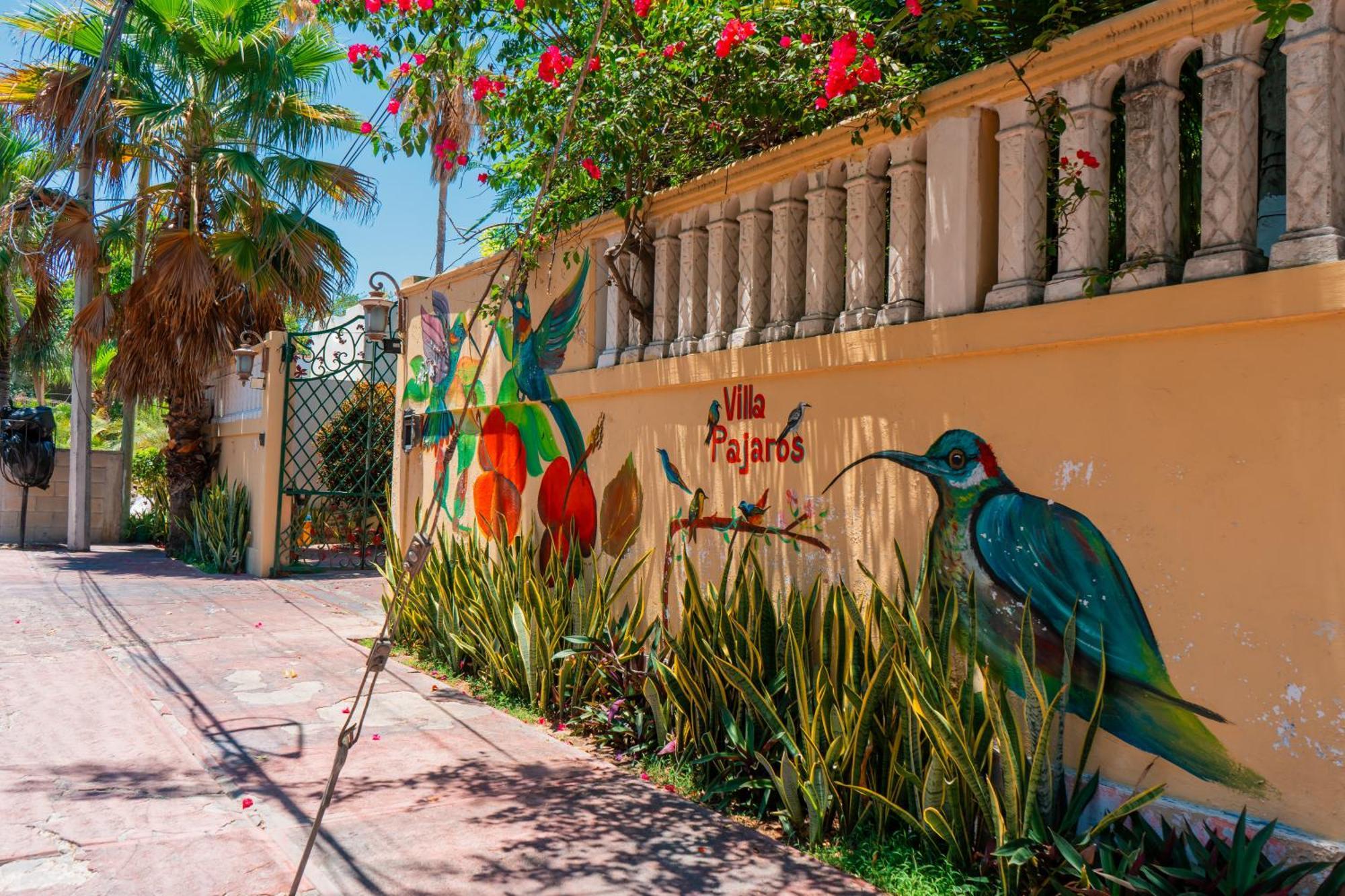 Villa Pajaros Isla Mujeres Exterior photo